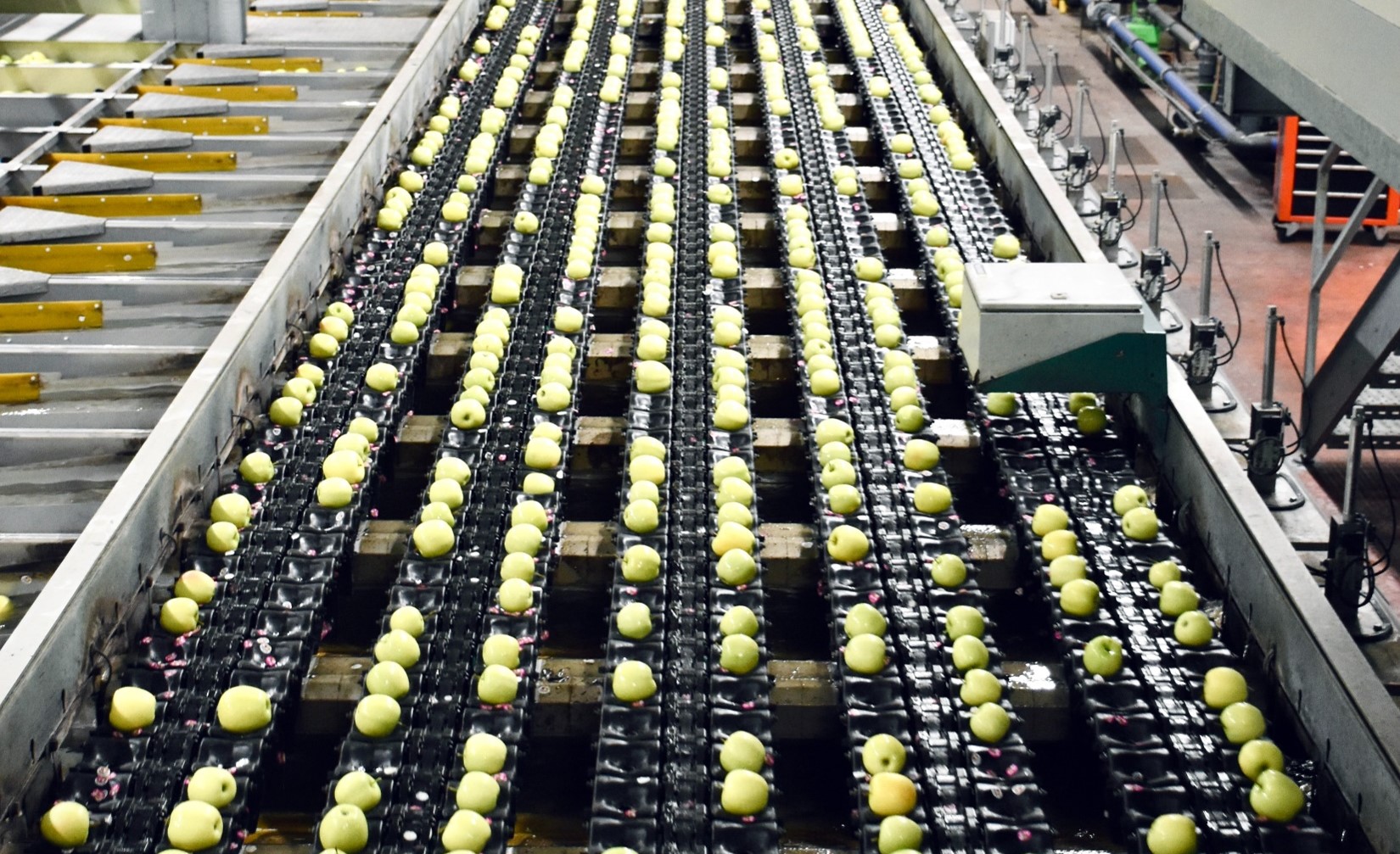 Major challenges in the fresh food supply chain
